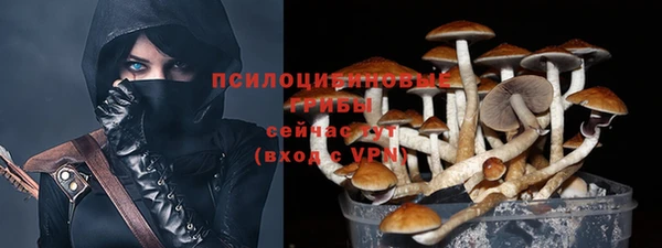 хмурый Дмитриев