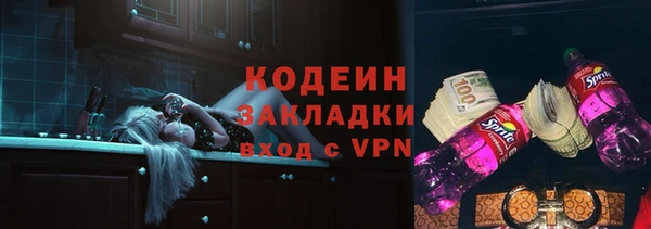 хмурый Дмитриев