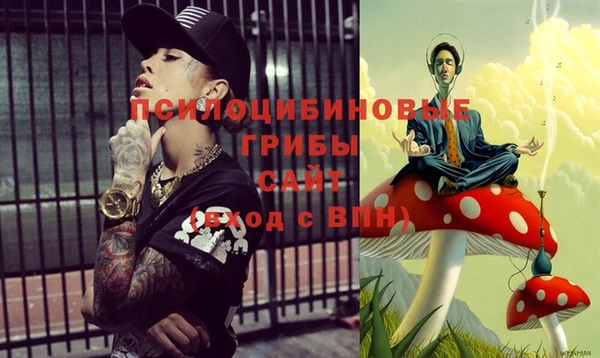 хмурый Дмитриев