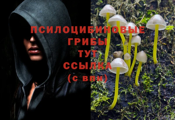 хмурый Дмитриев