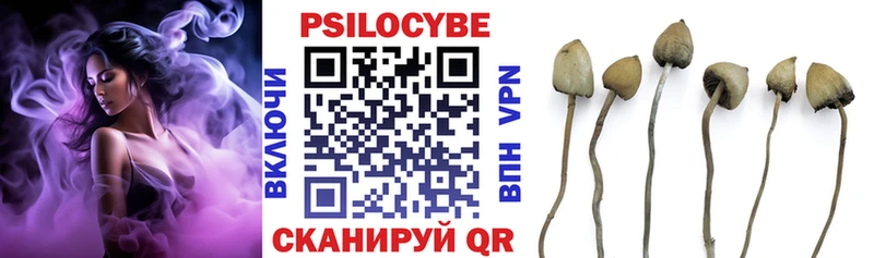 Галлюциногенные грибы MAGIC MUSHROOMS купить Ермолино